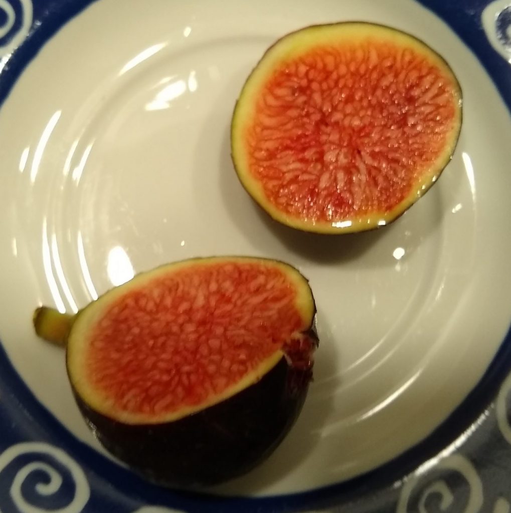 Ronde Herbstfeige aufgeschnitten 2020